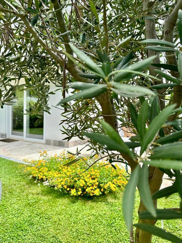 Casa Mila White Villa Marina di Cerveteri Buitenkant foto